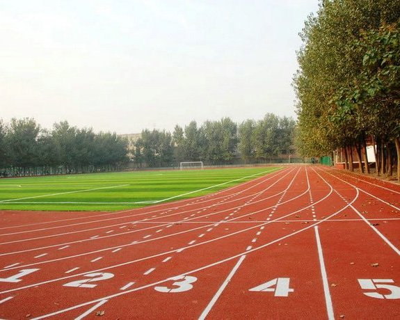 PVC球場運動地坪